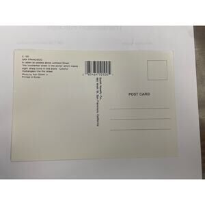 Vintage San Francisco Postcard Lombard Street Curvy Road Flowers Chrome Era